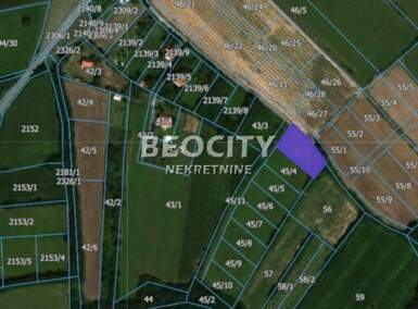 Plac, Beograd, Kosmaj, prodaja, 1200m2, 60000e, id1458289