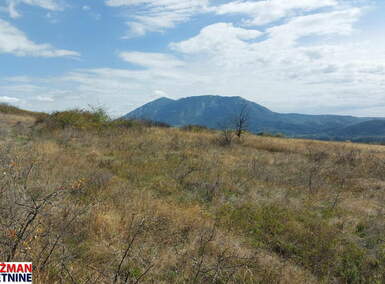 Plac, Boljevac, Krivi Vir, prodaja, 0m2, 3500e, id1449429