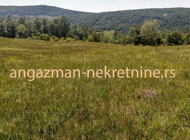 Plac, Boljevac, Rujište, prodaja, 0m2, 4000e, id793176