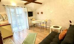 Jednoiposoban stan, Beograd, Konjarnik, izdavanje, 32m2, 420e, id1458663