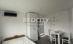 Jednosoban stan, Novi Sad, Telep, izdavanje, 25m2, 250e, id1458672