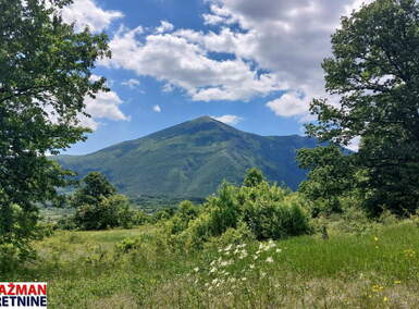 Plac, Boljevac, Mirovo, prodaja, 0m2, 12000e, id1390078