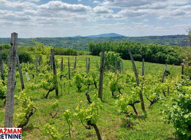 Plac, Beograd, Mala Ivanča, prodaja, 0m2, 84000e, id1382252