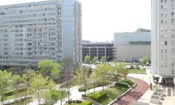 Cetvorosoban stan, Beograd, Belvil, izdavanje, 100m2, 1500e, id1459249