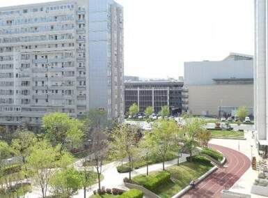 Cetvorosoban stan, Beograd, Belvil, izdavanje, 100m2, 1500e, id1459249