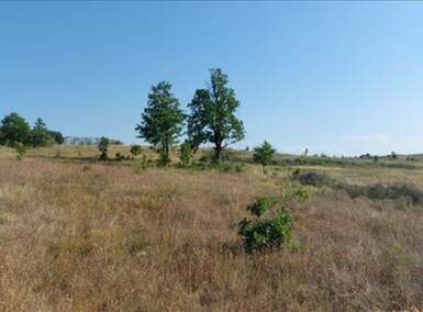 Plac, Boljevac, Bačevica, prodaja, 0m2, 13900e, id1251899