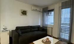 Garsonjera, Novi Sad, izdavanje, 31m2, 400e, id1459606