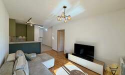 Dvosoban stan, Beograd, Hala Pionir, izdavanje, 54m2, 1000e, id1459608