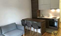 Dvosoban stan, Beograd, Južni bulevar, izdavanje, 43m2, 700e, id1459610