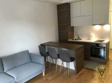 Dvosoban stan, Beograd, Južni bulevar, izdavanje, 43m2, 700e, id1459610