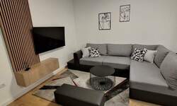 Dvosoban stan, Beograd, Bulbulder, izdavanje, 45m2, 700e, id1459611