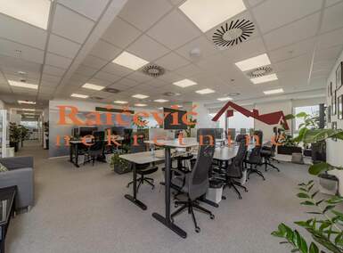 Poslovni prostor / Lokal, Beograd, Tasmajdan, izdavanje, 289m2, 5095e, id1459679