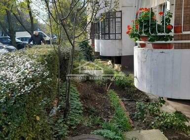 Jednosoban stan, Beograd, Filmski Grad, izdavanje, 38m2, 350e, id1459727