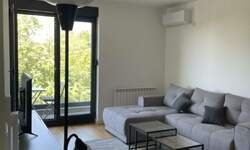 Dvosoban stan, Beograd, Severni Bulevar, izdavanje, 48m2, 700e, id1459739