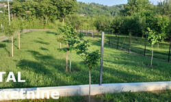 Plac, Sremska Kamenica, Paragovo, prodaja, 427m2, 42700e, id1459825