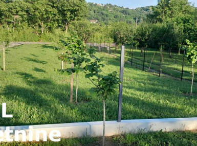 Plac, Sremska Kamenica, Paragovo, prodaja, 427m2, 42700e, id1459825