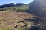Plac, Krupanj, prodaja, 8000m2, 1500e, id1459855