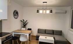 Dvosoban stan, Novi Sad, izdavanje, 40m2, 450e, id1459862