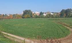 Plac, Kraljevo, prodaja, 4600m2, 2200e, id1459960