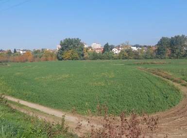 Plac, Kraljevo, prodaja, 4600m2, 2200e, id1459960