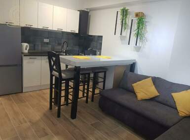 Garsonjera, Novi Sad, izdavanje, 22m2, 330e, id1460005