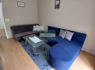 Garsonjera, Jagodina, izdavanje, 27m2, 150e, id1460014