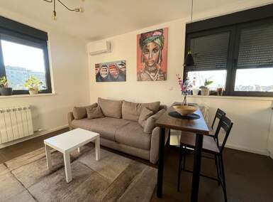 Garsonjera, Beograd, Vracar, izdavanje, 40m2, 550e, id1460060