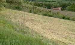 Jednoiposoban stan, Beograd, Blok 28, izdavanje, 56m2, 600e, id1455479