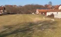 Plac, Kruševac, prodaja, 5000m2, 75000e, id1460216