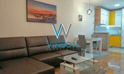 Jednoiposoban stan, Novi Sad, Centar, izdavanje, 44m2, 650e, id734043