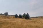 Plac, Kopaonik, prodaja, 6000m2, 3500e, id1460329