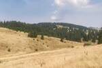 Plac, Kopaonik, prodaja, 6000m2, 3500e, id1460329