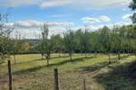 Plac, Beograd, prodaja, 2743m2, 64000e, id1460330