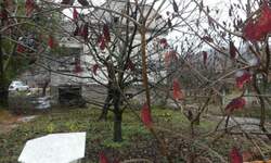 Kuca, Jagodina, Majur, prodaja, 80m2, 30000e, id747743