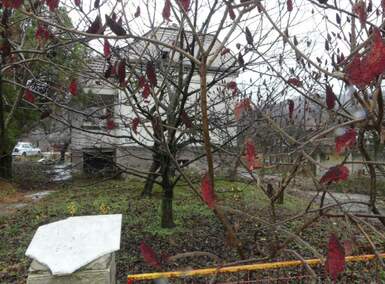 Kuca, Jagodina, Majur, prodaja, 80m2, 30000e, id747743