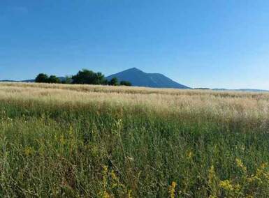 Plac, Boljevac, Mirovo, prodaja, 0m2, 16800e, id1391752