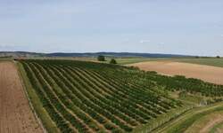 Plac, Sremska Mitrovica, prodaja, 37800m2, 130000e, id1460529