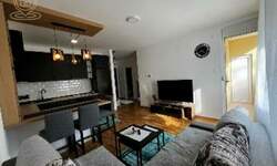 Jednoiposoban stan, Novi Sad, izdavanje, 42m2, 450e, id1460705