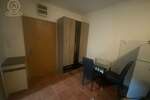 Jednoiposoban stan, Novi Sad, izdavanje, 30m2, 300e, id1460824