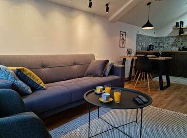 Jednoiposoban stan, Novi Sad, izdavanje, 38m2, 600e, id1460833