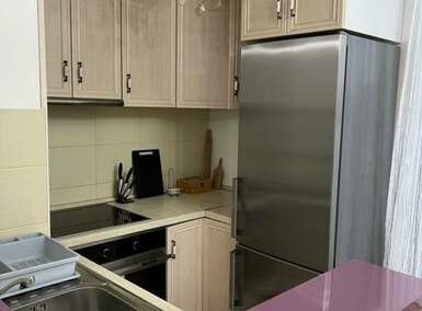 Dvosoban stan, Beograd, Stepa Stepanović, izdavanje, 45m2, 700e, id1460924