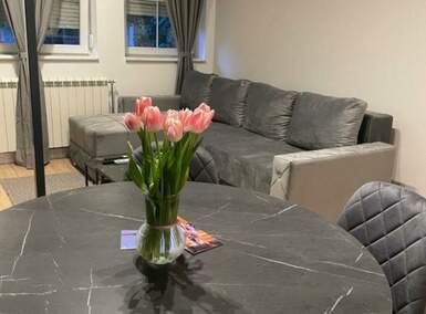 Jednoiposoban stan, Novi Sad, izdavanje, 30m2, 600e, id1460946