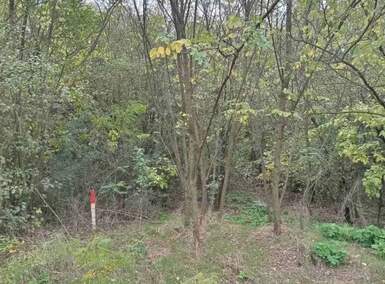 Plac, Alibunar, Devojački Bunar, prodaja, 1500m2, 19500e, id1461057