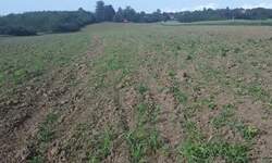 Plac, Beograd, prodaja, 22671m2, 700e, id1461059