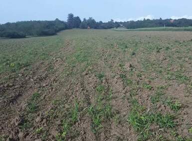 Plac, Beograd, prodaja, 22671m2, 700e, id1461059