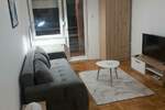 Garsonjera, Novi Sad, izdavanje, 28m2, 300e, id1461091
