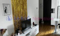 Jednosoban stan, Beograd, Djeram, izdavanje, 33m2, 500e, id1461373