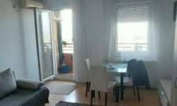 Garsonjera, Novi Sad, izdavanje, 25m2, 280e, id1461514