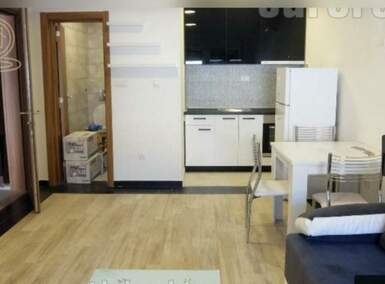 Jednosoban stan, Beograd, Stadion Partizana, izdavanje, 25m2, 400e, id1461515