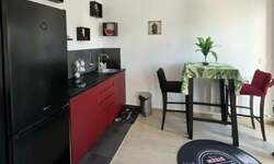 Dvosoban stan, Beograd, Dušanovac, izdavanje, 40m2, 650e, id1461682